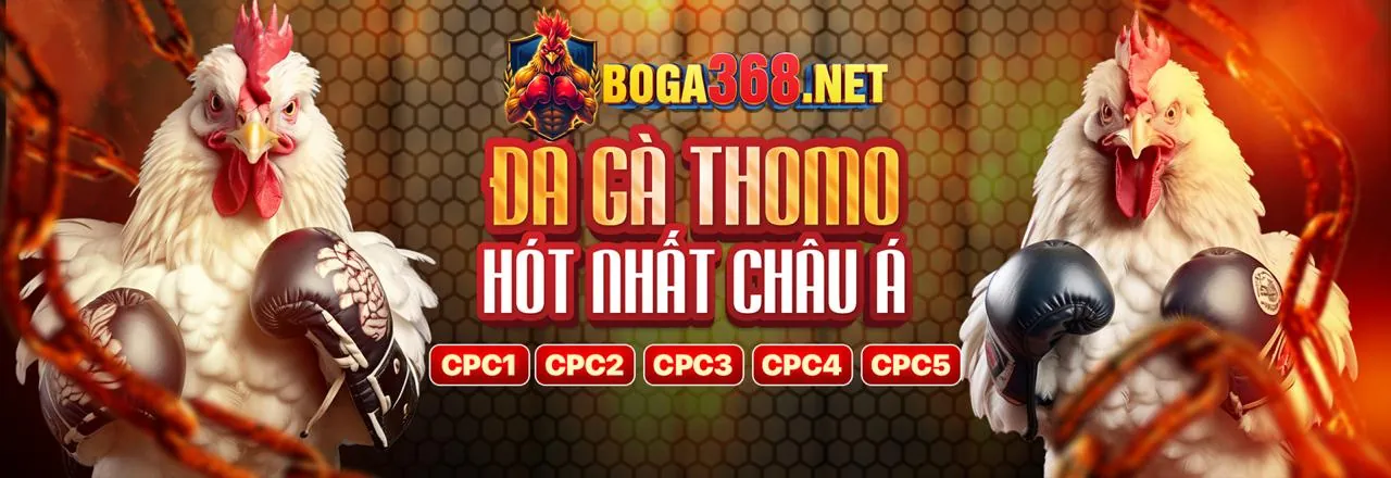 Live Casino với Dealer BTY523